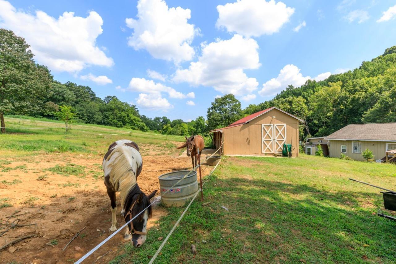4 Bedroom Country Getaway Nashville Zewnętrze zdjęcie